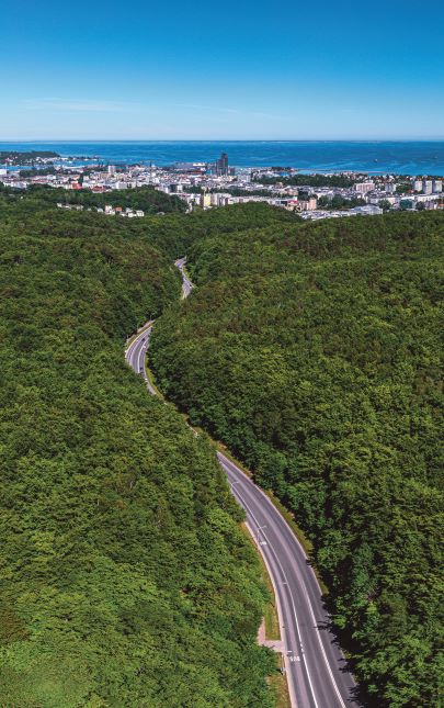 46% of Gdynia is covered by forestes.